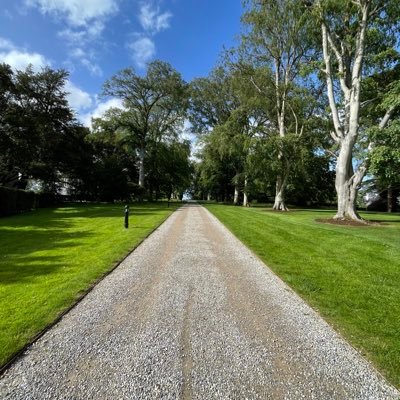 DizzleRizzle36's profile picture. I love $muln