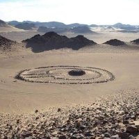 Quantum Cortex (@quantumcortex) 's Twitter Profile