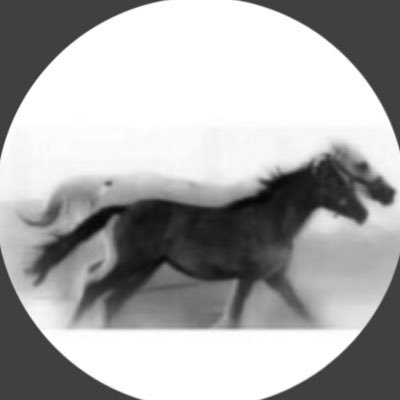 هوس الإنتاجيه .