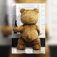 Pedro Goiano (@pedro97712306) 's Twitter Profile