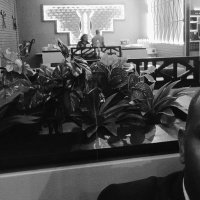 Davie (@daviekim) 's Twitter Profile