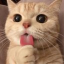 Edward Ren - @EdwardRen16 - Twitter