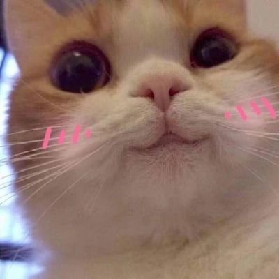 Towfear1's profile picture. yieeee