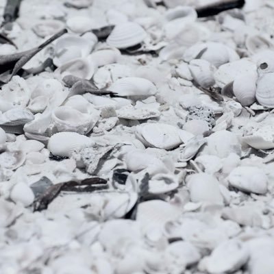 tiffanyhope013's profile picture. Music Nerd and Disney Fanatic. she/her