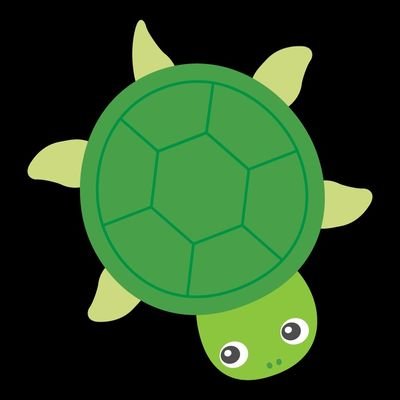 TurtleTortoise8 Profile Picture