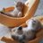 itsyourfortuin's profile image