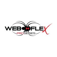 Web Flex Pro(@WebFlexPro) 's Twitter Profile Photo
