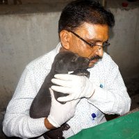 The Animal Lover (@sampath26537615) 's Twitter Profile