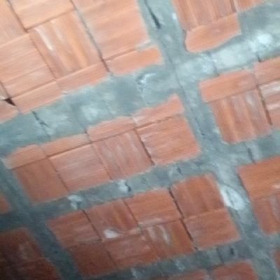 cesaryop2's profile picture. puto el que lo lea