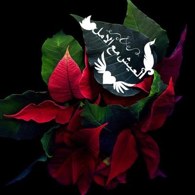 https://t.co/4Wz8xHH98tالدُّنْيَا مَهْمَا طَالَت فَهِي قَصِيرَة ،
وَمَهْمَا عَظُمَت فَهِي حَقِيرَةٌ .!https://t.co/TzkK3BxCsn