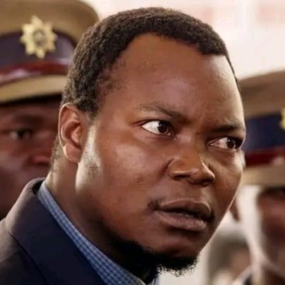 Vido40674343's profile picture. 