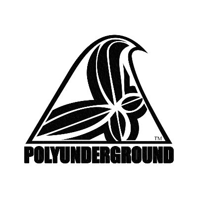 Polyunderground