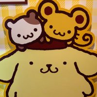 さっちー (@88grape) 's Twitter Profile
