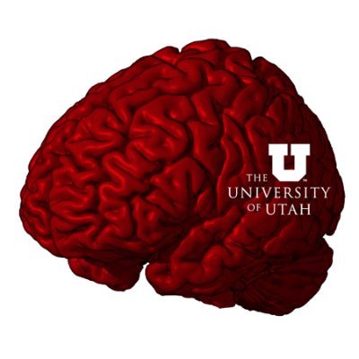 Macro- and microscale mechanics to improve patient-specifc diagnosis, detection, and treatment of neural and ocular injury and disease