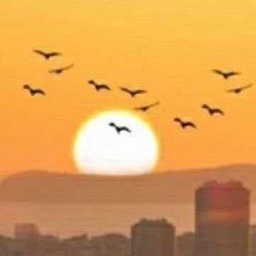 İnsan dediğin Eğriye Eğri,Doğruya Doğru diyebilmeli