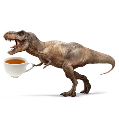 patchrex's profile picture. wrong AND useless