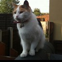 Mariya Khan - @mariyakhan24 - Twitter