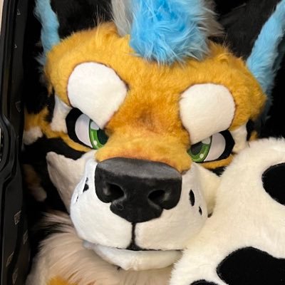 花月家的焦糖Caramel,來自台灣,毛毛生日:2022/05/28|Fursuit is made by “きぐるみ花月” @kigurumikagetsu|中文⭕️ English △
★My Art twitter:https://t.co/GmdMYr9z5f