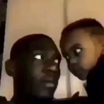 Catus_mathrus's profile picture. Insta: _mathrus_