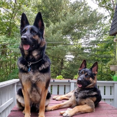 BenetosTeresa's profile picture. empath, Reiki Master, animal lover