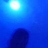 HRH_unknown's profile picture. til'dupe