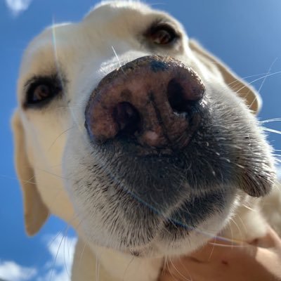 HollyBa82313382's profile picture. Please no DM. Love the farm life.