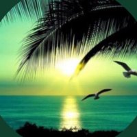 Nuray (@nryd37) 's Twitter Profile Photo Nuray (@nryd37) 's Twitter Profile Photo