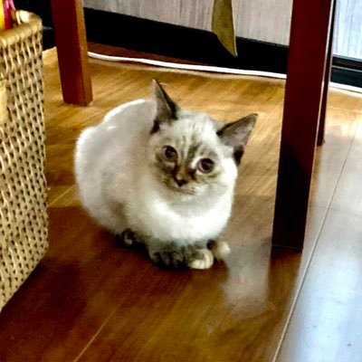 h_r_engnr's profile picture. 営業職→Webデザイナー→システムエンジニア👊