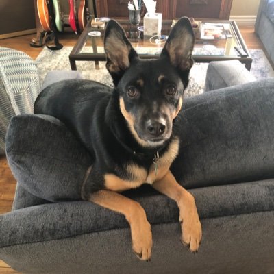 PesqueiraTony's profile picture. 