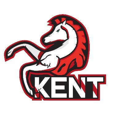 Official Kent Esports 🇬🇧🏆
• Based in @UniKent
• Home of some legendary university esports teams
• CS:GO, Valorant, League of Legends, and more!