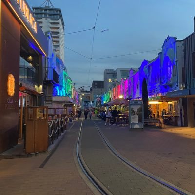 shackyabooty's profile picture. Toddles / Toad