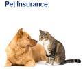 Pet_Insurance_'s profile picture. Get Pet Insurance Reviews and Articles Here