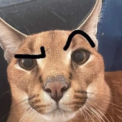 CCancelables's profile picture. 