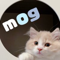 mog (@mogmogmog312) 's Twitter Profile