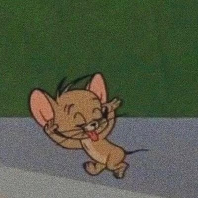 shankberi's profile picture. 