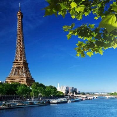 Oktavia_099's profile picture. Will you go now