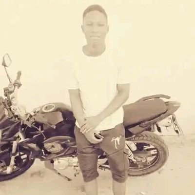 Newton688622785's profile picture. 