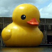 Patito de Hule (@patitodehule1) 's Twitter Profile