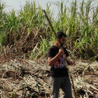 Nishant Tathe (@nishanttathe) 's Twitter Profile