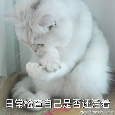 KarenTa35656473's profile picture. my shopee  https://t.co/sdkwJajoZw