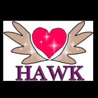 千葉駅徒歩2分メンズエステ「HAWK」 (@hawk1025v) 's Twitter Profile