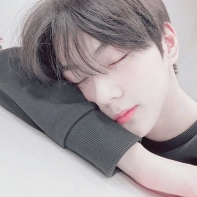 ☆・*。아기고양이 🎀 ☆・*。 ⠀ ⠀