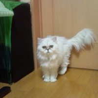 E.Lee (@yoseawave1) 's Twitter Profile Photo E.Lee (@yoseawave1) 's Twitter Profile Photo