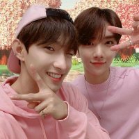 random seoksoo (@randomseoksoo) 's Twitter Profile