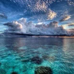 my41317566's profile picture. 