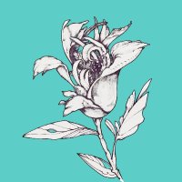 山根一葉 | Yamane Kazuha (@kazuha_yamane) 's Twitter Profile Photo 山根一葉 | Yamane Kazuha (@kazuha_yamane) 's Twitter Profile Photo