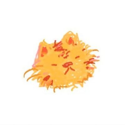 Co°さんのプロフィール画像