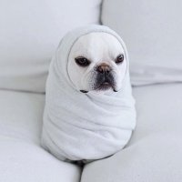にこら・ろめお (@o90lwayrarlfwjp) 's Twitter Profile Photo にこら・ろめお (@o90lwayrarlfwjp) 's Twitter Profile Photo