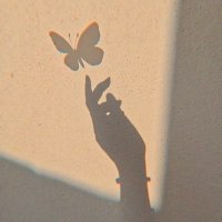 Nai🦋 (@epicberri) 's Twitter Profile