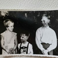 Lotter (@lotterwein) 's Twitter Profile
